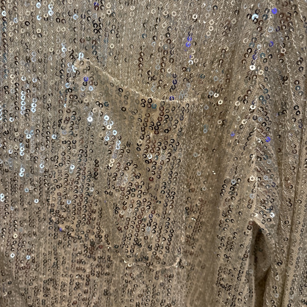 POL Sparkling Silver Sequin Blouse - Picture 3 of 6